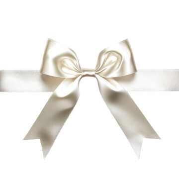 bow on transparent background