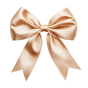 bow on transparent background