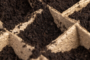 cardboard cups for seedlings with fertile soil