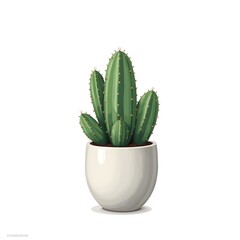 cactus in a pot