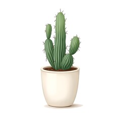cactus in a pot