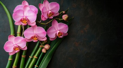 Delicate pink orchids and lush bamboo arranged elegantly on a dark textured background for a serene and calming ambiance