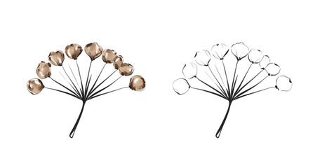 Elegant Botanical Line Drawing of Flowering Stem with Delicate Leaves and Blossoms for Minimalist Artistic Designs