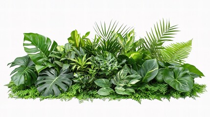 Lush Green Tropical Plant Leaves Arrangement for Natural Decor