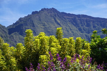 Fototapeta premium Cilaos cirque on a sunny day on the Réunion Island, France in the indian ocean