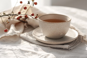 A simple, elegant cup of herbal dogrose tea, minimalits, dogrose branch with berries
