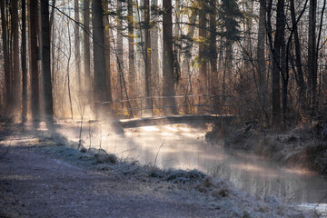 Fog rises on a cold, sunny winter morning in Siebenbrunn from a stream where it is hit by the sun's...