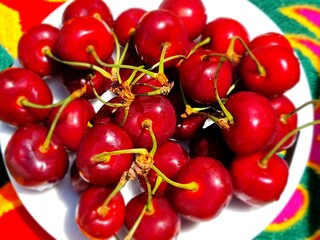fresh ripe and red cherries