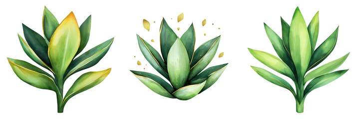 Obraz premium Watercolor Agave Plant with Splash of Color