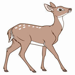 deer cartoon isolated on white