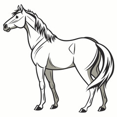 horse isolated on white