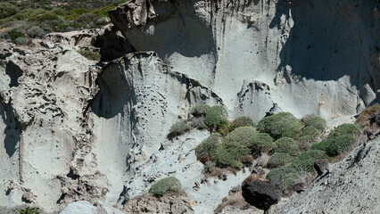 White stone, close-up, texture, Cane Malu