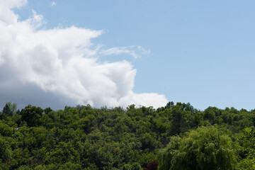 clouds over the forest