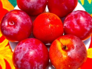 ripe plums on the background 