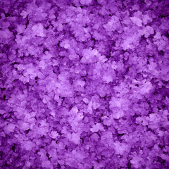 Obraz premium Purple Floral Abstract Background Illustration