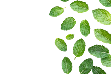 A vibrant collection of fresh green leaves scattered elegantly on a dark background, perfect for herbal themes, natural beauty, or wellness concepts in photography.
