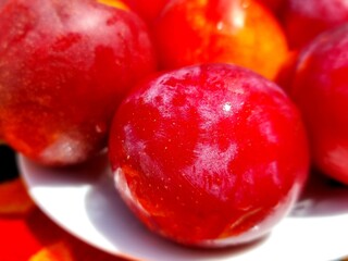 close up of ripe plums
