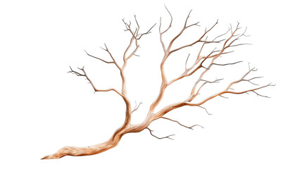 Fototapeta premium A detailed depiction of a bare tree branch, showcasing its intricate structure and texture. Ideal for nature-related themes and as a backdrop in various creative projects.