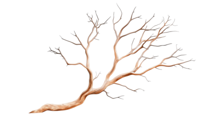 A detailed depiction of a bare tree branch, showcasing its intricate structure and texture. Ideal for nature-related themes and as a backdrop in various creative projects.