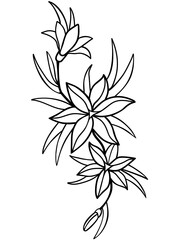 Lilies, flowers with leaves vector linear image. Outline. Line drawing. For coloring	