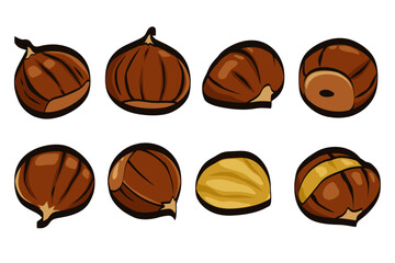 chestnut vector logo Isolated on white background.