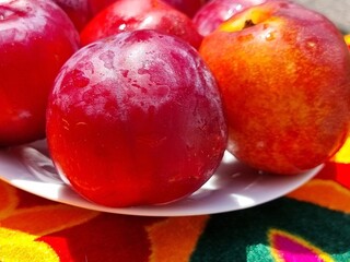 ripe plums on a background
