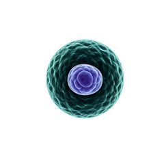 Stem Cell Icon - Undifferentiated Stem Cell Surrounded by Smaller Cells
