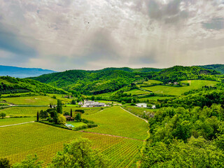 beautiful Tuscan hills with vines and lush greenery