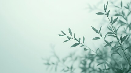 Basic White Gradient Background with Text for Multipurpose Use