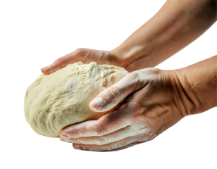 The Art of Breadmaking: A pair of hands carefully cradles a smooth, doughy ball of fresh bread dough, dusted with flour, showcasing the meticulous craft and artistry involved in the baking process. 