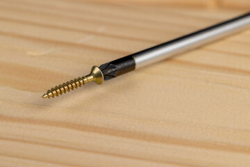 Naklejka premium yellow metal self tapping screws for fastening are used in construction