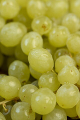 a large number of ripe green grapes are on the table