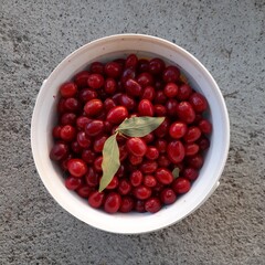 cranberries in a bucket.