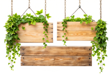 wooden signboard with green grass isolated