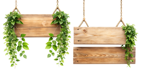 wooden signboard with green grass isolated