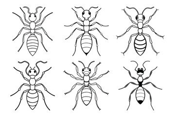 Ants line Icon set Flat Design. Ants line Icon vector illustration design