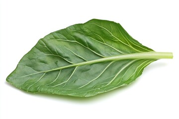 Obraz premium Fresh Bok Choy: Vibrant Leafy Vegetable for Asian Dishes and Healthy Culinary Creations