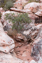 red rock national conservation park
