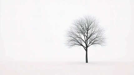 Obraz premium Realistic 3D Isolated Tree Model on White Background with Alpha Channel