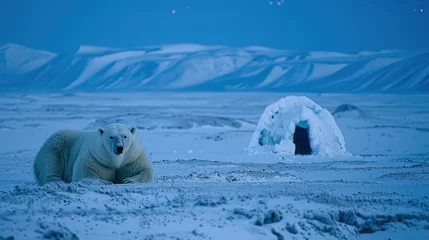 Fotobehang Arctic landscape photography featuring polar bears northern lights and glaciers © bggns