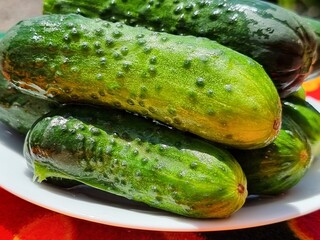 close up shot of cucumbers