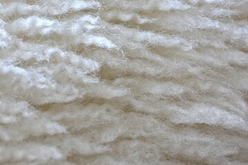 Wavy and curly sheep fur close up macro background texture wool