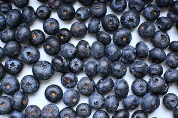 Fresh bilberries spread on white table close up top view macro. A lot of blue berries on white surface.
