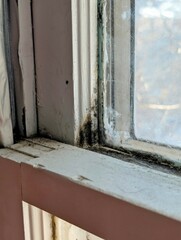 Vintage 1950s Wooden Window Frame with Mold and Condensation Damage in a Midwest Home During Winter