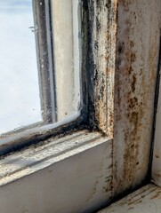 Close-Up of Vintage Wooden Window Frame with Black Mold and Water Damage in a 1950s Midwest Home