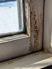 Vintage 1950s Midwest Wooden Window Frame with Black Mold and Water Damage from Condensation