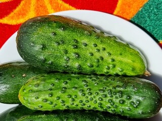close-up of cucumbers on a plate
