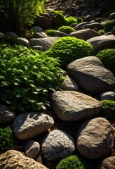 textured stones illuminated natural sunlight highlighting intricate details unique patterns, textures, rocks, outdoors, nature, surfaces, geology