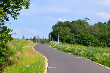Asphalt and equipped with lanterns running track in nature
