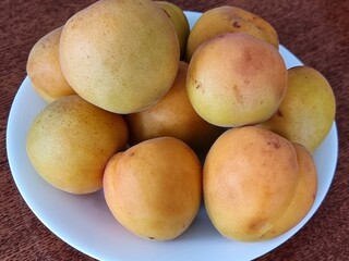 fresh ripe apricots in bowl on a table
